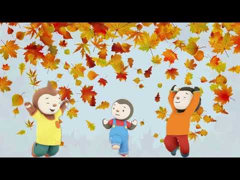 Videó: Az őszi levelek az ősz arany hírnökei