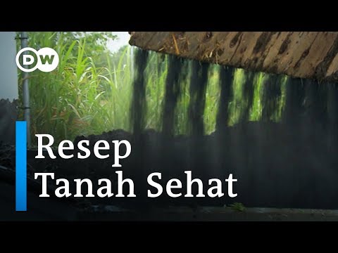 Video: Rahasia Adonan Yang Subur