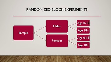 Intro to Randomized Block Experiments - Statistics Project