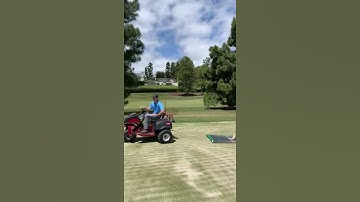 Doggy Helps Weigh Down Drag Mat || ViralHog
