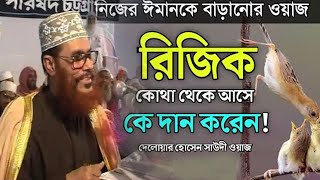 রিজিক কি দেলোয়ার হোসেন সাউদী, delwar hussain saidi trimcut5 #voiceofdin