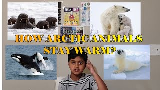 Science Experiment for Kids | How Arctic Animals Stay Warm?