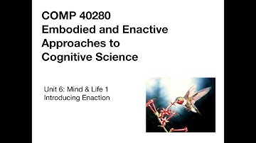 Introduction to Enaction, Part 1