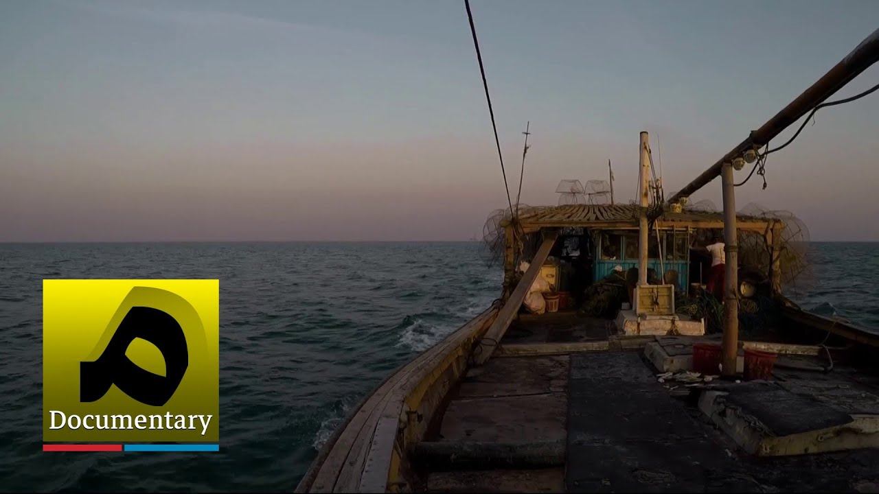 مستند: گَرگور