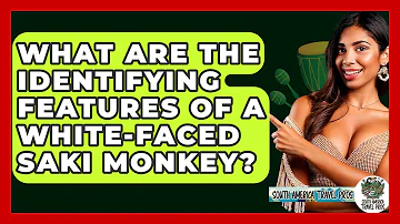 What Are The Identifying Features Of A White-faced Saki Monkey? - South America Travel Pros