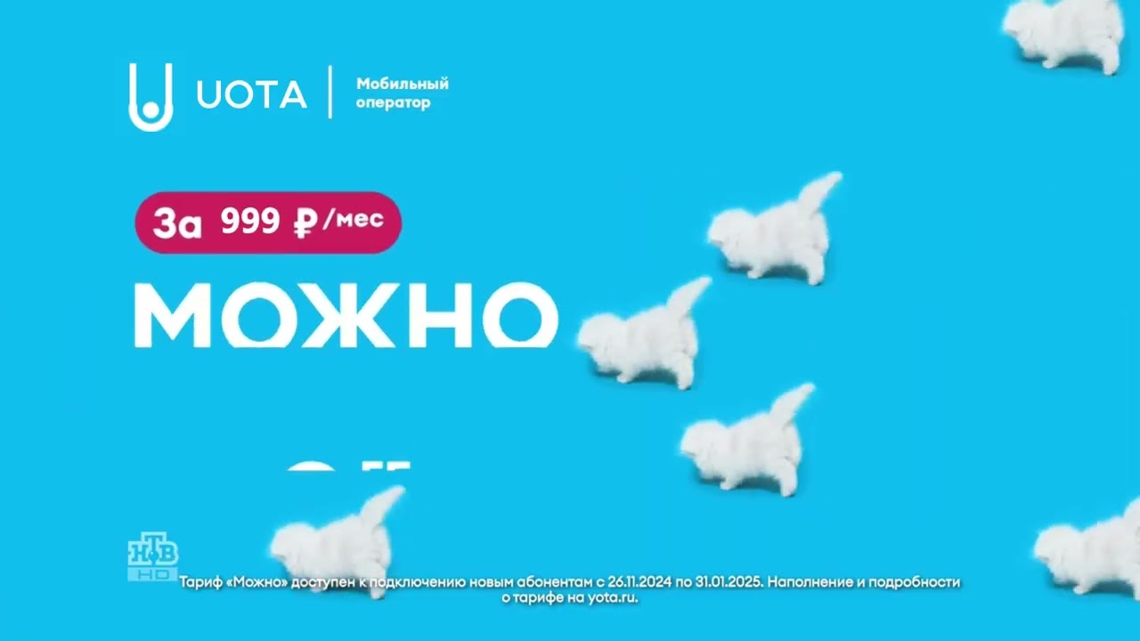 Реклама UOTA котики 2025