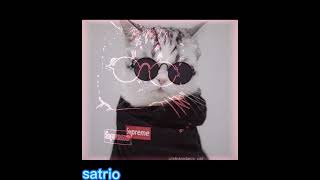 Download Lagu Dj kaweni mery x tak sayang/versi kucing|keren link lagu di bawah| MP3