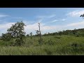 Hiking the Nottingham Serpentine Barrens