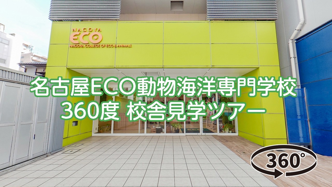 名古屋 eco 動物 海洋 専門 学校