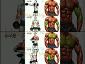 4 Dumbbell Exercises That Hit Every Muscle Group (4×15 Sets)