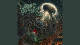 Misconceived Superiority