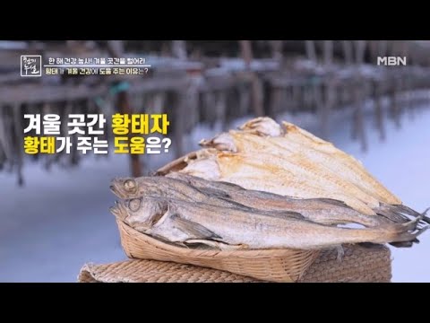 겨울 건조 <strong>식재료의</strong> 끝, 황태 MBN 250124 방송