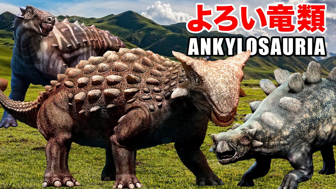 超希少！　ノドサウルスの装甲板とアンキロサウルスの装甲板 超希少！ ノドサウルスの装甲板とアンキロサウルスの装甲板 【公式通販】