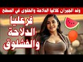 ولد الجيران فرعليا الدلاحة والفشلوق وكلاليا الحلوى في السطاح قصتي لكم قصص مغربية قصص ولد الجيران فرعليا الدلاحة والفشلوق وكلاليا الحلوى في السطاح قصتي لكم قصص مغربية قصص