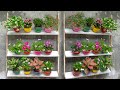 Make Hanging Garden for Old Wall | Recycle Plastic Bottles to make Gardening