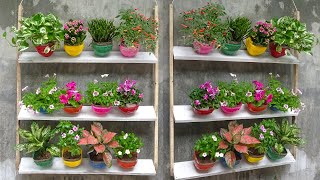 Make Hanging Garden for Old Wall | Recycle Plastic Bottles to make Gardening