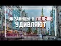 Украинцы в Польше Удивляют.