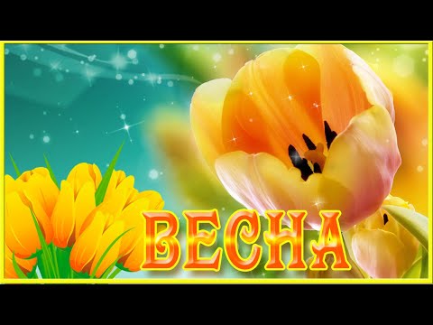 Весна ❃❃❃ Меняю зиму на весну ❃❃❃ Красивая музыкальная открытка С началом весны ❃❃❃