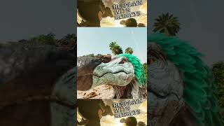 We Woke Up on the Wrong Island!!