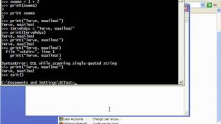 Python-tulkin asennus ja käyttö