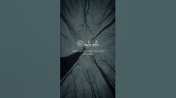 يوم يفر المرء من أخيه تلاوة خاشعة يوسف المرهون ♥️🎧