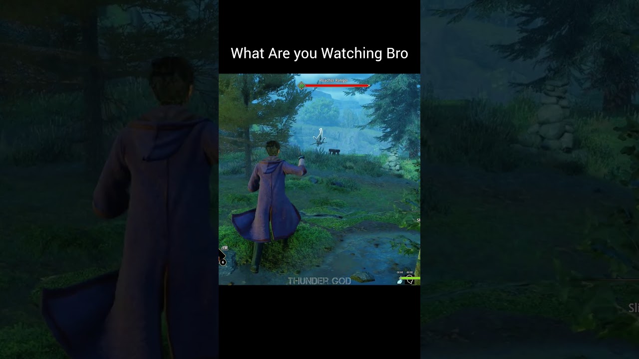 Что ты смотришь, братан? Геймплей Hogwarts Legacy 