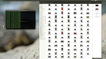 RAW+JPG file management in Linux: TrashSingleTwin
