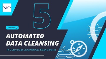 🔍 Automated Data Cleansing - 5 Easy Steps with WinPure! 🚀