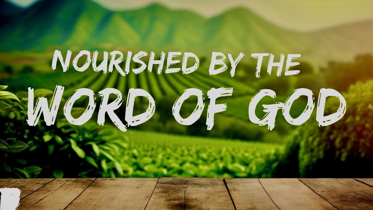 Nourished By The Word Of God YouTube Nourished by the word of god youtube