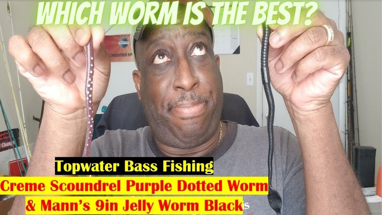 Bass Fishing Plastic Worms  how to catch bass with plastic worms