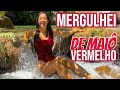 Um dia na fazenda CeitaCorê em Bonito MS | Carol Kunst do Vanlife Real