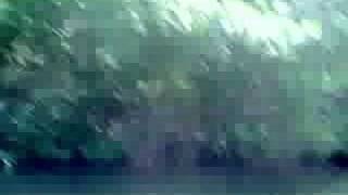 Paseo por la Laguna de la Restinga