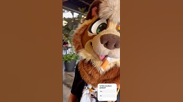 Unlocked a new vocal stim :3 #furry #fursuit #furries