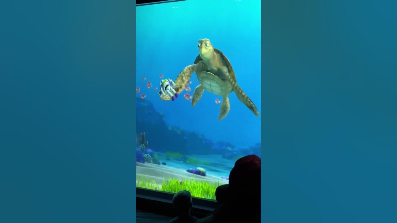 what-does-crush-call-buzz-lightyear-turtle-talk-with-crush-shorts