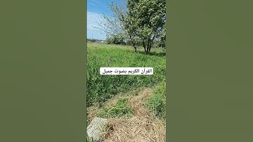 القرآن الكريم بصوت جميل #عبدالعزيز_سحيم #القران_الكريم #اكسبلور #تيك_توك #دويتو #المصحف #duet