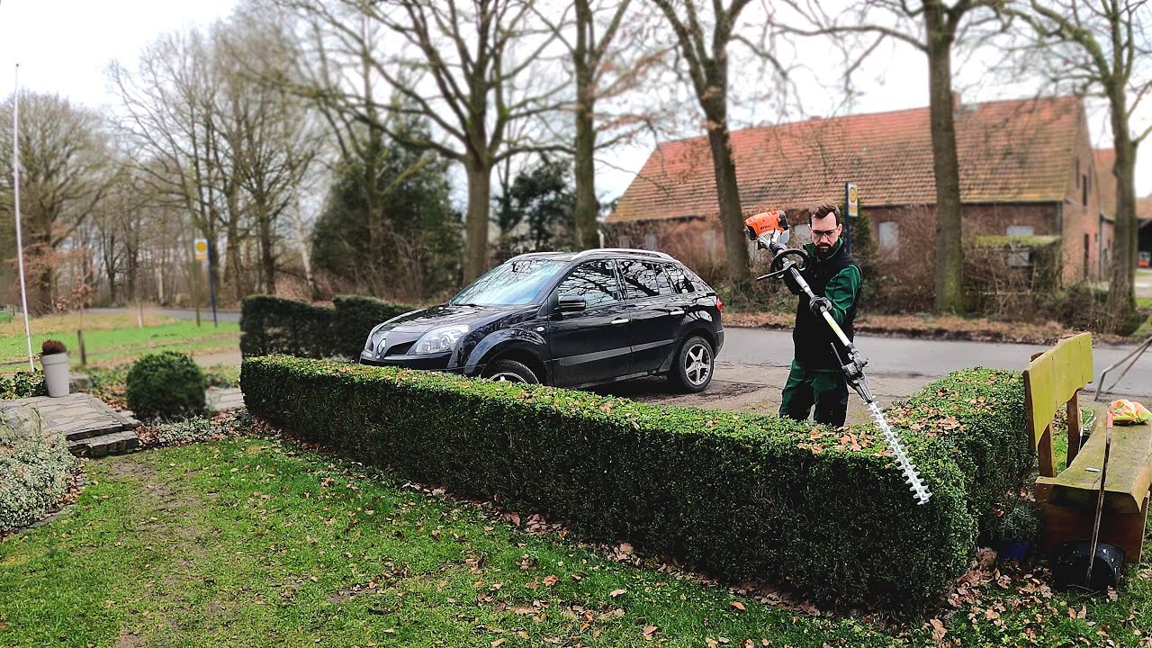 ⁣Kustorez. Trimming Boxwood and Ivy in the front yard!