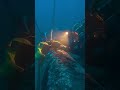 #vodolaz #professionaldiver #commercialdiver #diver