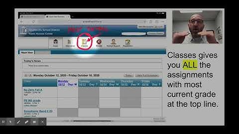 How to Check Grades and Attendance Online