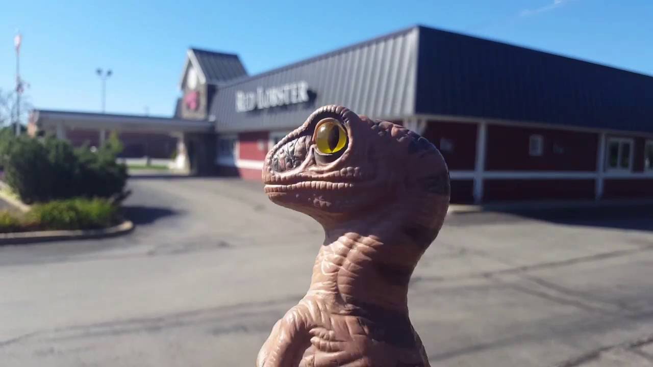 Bob the Raptor - Food Review - Red Lobster Endless Shrimp 2016