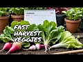 Top 5 Fast Growing Vegetables Harvest in a Month