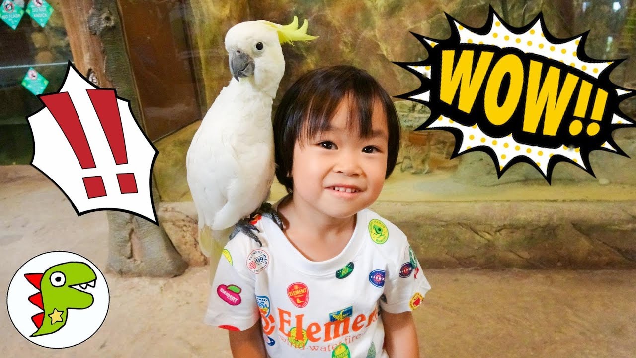 おでかけ マレーシア MINI Zoo 動物園へ行ったよ！色々な生き物を触れたよ！ トイキッズ