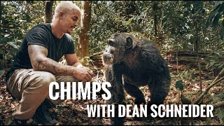 Meet The Chimps With Dean Schneider