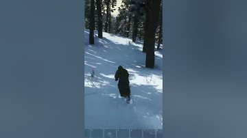 SCUM dirt bike takes flight.