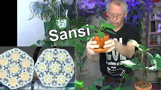 Neue Sansi 36 Watt Pflanzenlampe weil nach einem Jahr kaputt. Vorab Pflanzen