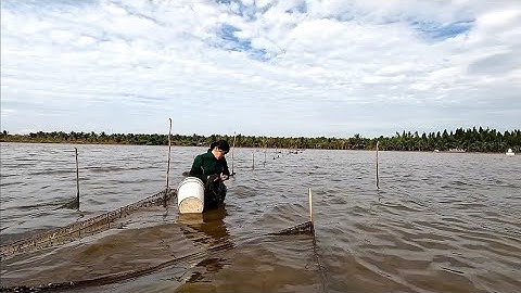 Đổ dớn trên cách đồng gập nước được món cá chốt kho @vochongmientaytv 