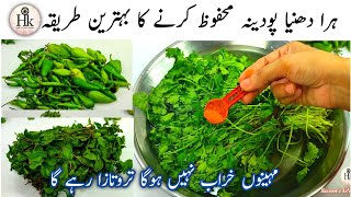 How To Save Mint And Coriander Leaves For 2-3 Month Podina Aur Hara Daina Mehfooz Karne Ka Tarika
