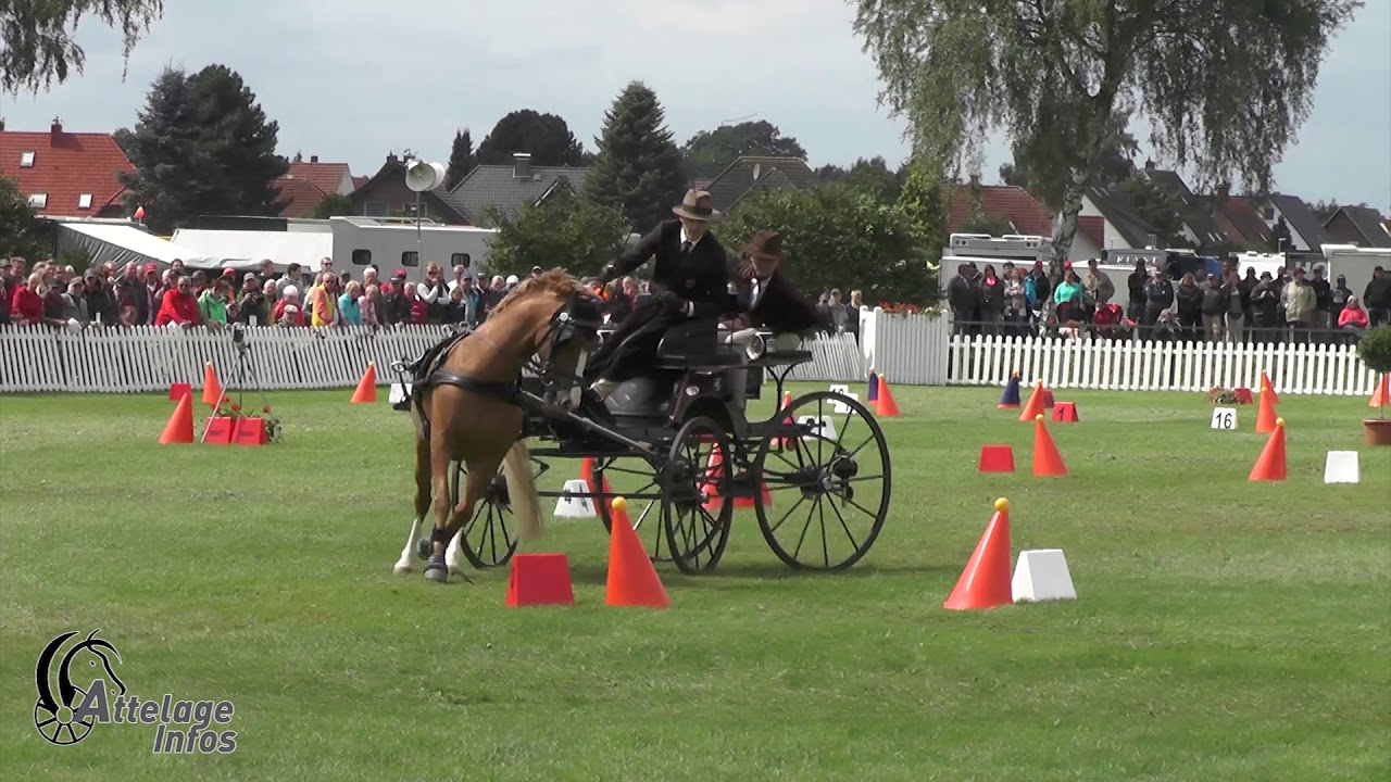 Fabian Gänshirt Ger Cones WCPDC MINDEN 2017 YouTube