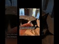 Olivia!! || #capcuttemplate #jealousy #song #headphones #music #get #understand #viralvideo #viral