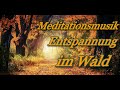 Meditationsmusik Entspannung im Wald