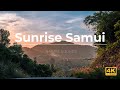 Звуки утреннего Самуи // Sunrise Samui // Nature sounds - 4K